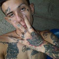 Samuel Bustos (bustosrincon73)