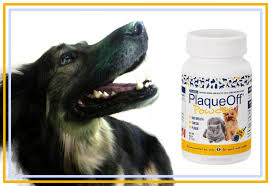 Check spelling or type a new query. Dog Dental Care Dog Dentist Dog Teeth Cleaning