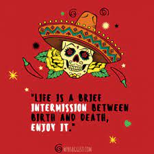 Day of the dead, one of the coolest days of the year is coming up. Day Of The Dead Quotes Sayings Images Whatsapp Instagram Status