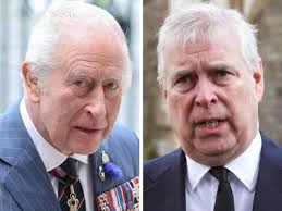 EFNL 2025: How ex-AFL forward Sam Weideman, Vermont are tracking this  pre-season