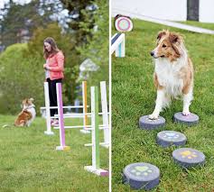 Diy Bygg En Egen Agilitybana Harliga Hund Hundar Hund Diy Hund Saker