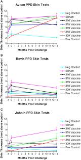 Bacille calmette guerin vaccine used to prevent tuberculosis and also given to prevent compications like such as meningitis in many countries. A C Ppd Skin Test Results Over Time Note The Strong Skin Responses To Download Scientific Diagram