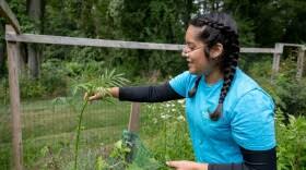 Conexión: Rooted in New England's Outdoors