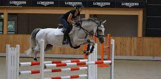 He was a 2012 olympic long jump bronze medalist. The Ultimate Guide For Success At Show Jumping Competitions