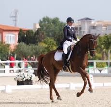 Federazione Italiana Sport Equestri