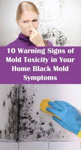 10 Warning Signs Of Mold Toxicity In Your Home Black Mold Symptoms Black Mold Symptoms Black Mold Exposure Mold Exposure