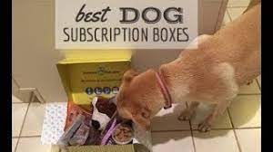 Each gift box comes with a gift tag of your choice, along with a handwritten note from you (don't worry, we have great handwriting!) add your personal message in the notes section at checkout, and leave the rest to us. Best Dog Subscription Box 2021 Pet Treater Vs Barkbox Vs Pupbox Vs Pupjoy Vs Bullymake More Caninejournal Com