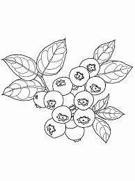 Add these free printable science worksheets and coloring pages to your homeschool day to reinforce science knowledge and to add variety and fun. Blueberry Coloring Pages Best Coloring Pages For Kids Fruit Coloring Pages Coloring Pages Bush Drawing