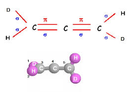 Liaisons Pi Et Sigma Dans Une Molecule Chimie Exercice De Sciences Physiques De Licence 294203