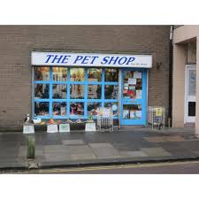 Below you will find an interactive google map which will tell you where there are pet shops located near you. Pet Shop Seahouses Pet Shops Yell