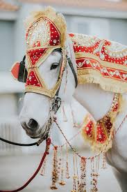 Whimsical Detailed Indian Wedding Strictly Weddings Indian Wedding Horse Wedding Pet Care
