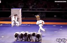 #toby greene #lachlan keeffe #can't believe he's captain #then again we've had angry tay as our i was.doing things toby greene: Photoshop Photoshop Pfunnies Toby Greene Kung Fu Fighter Page 2 Bigfooty