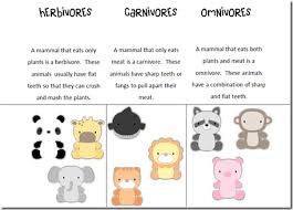 Many small birds and mammals are omnivorous; Super Cute Free Printables Animal Eaters Herbivore Carnivore Omnivore Interactive Science Notebook Fun Science Interactive Science