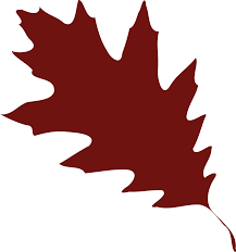 Leaf 08 Leaf Silhouette Fall Leaves Drawing Silhouette Vector