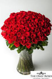 One Dozen Long Stem Roses Birthday Flowers Bouquet Flower Bouquet Delivery Roses Luxury