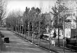 Murcia Antigua El Desaparecido Parque De Ruiz Hidalgo En 2020 Murcia Parques Fotos Antiguas