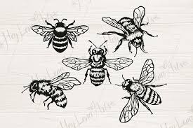 Download Bee Svg Bundle Svg Files For Cricut Cut File Dxf Png 579045 Cut Files Design Bundles