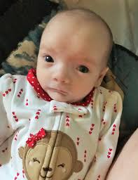 Obituary information for Carter Gray Weitzman