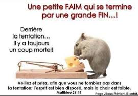 Pin By Marie Joelle Meloche On Vie Chretienne Hamster