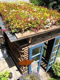 Green Roof On Shed By Landscape Architect Joy Kuebler All Materials Used To Build The Shed Came From Buffalo Reuse Www In 2020 Gartengebaude Gartengestaltung Garten