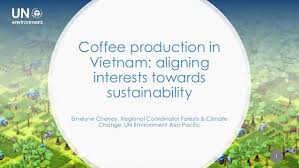 Latin america, africa, and asia, with an. Coffee Production In Vietnam Aligning Interests Towards Sustainabili