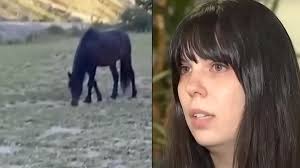 Terrifying video showcases moments just before a 3-year-old girl is  attacked by a wild horse