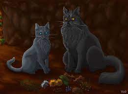 Cinderpaw And Yellowfang By Vialir On Deviantart Warrior Cats Books Warrior Cats Art Warrior Cats Fan Art