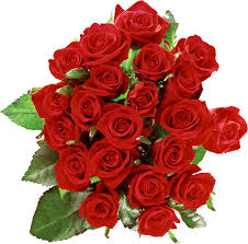 Red Rose Png Image Flower Bouquet Png Flower Images Rose Flower Png