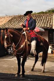Distributie fernanda montenegro, marjorie estiano, thiago lacerda. Cavalos Da Raca Crioula Estao Entre As Estrelas Do Filme O Tempo E O Vento Gzh