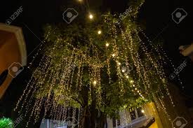 Length of light hanging measures 7.8 inches. Decorative Outdoor String Lights Hanging On Tree In The Garden Stock Photo Picture And Royalty Free Image Image 128945260