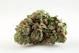 Image result for ORGANIC HINDU KUSH