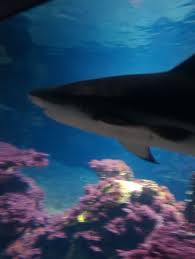 Manol Hristov @ManolHristov - Twitter Profile | Sotwe