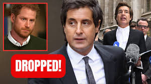 Barrister David Sherborne Withdraws Support for Prince Harry in  High-Profile UK Court Case
