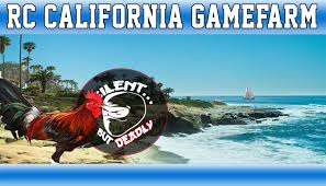 Profile for Randy Timothy