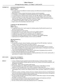 HR Professional Resume Samples | Velvet Jobs
