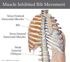 Pin On Massage Therapy