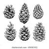 See how to paint pine cones and give them a custom look. 1
