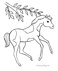 These printable coloring pages are related to some subject areas. Horse Coloring Pages Online Coloring Home