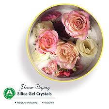Drying real flowers in silica gel! Compare Prices For Wisedry Across All Amazon European Stores