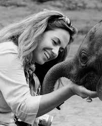 Celebrating Proud Moments