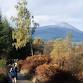 Aberfoyle Festival of Trail Running