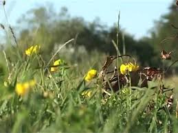 Jul 13, 2021 · la nivel de zi, prognoza meteo este impartita pe intervale orare (din 3 in 3 ore) si contine urmatorii parametri meteorologici: Siriu Intorsura Buzaului Youtube