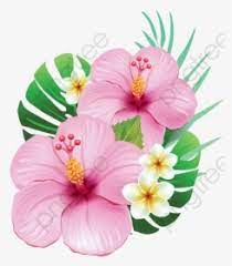 The image can be easily used for any free creative project. Tropical Flower Png Images Transparent Tropical Flower Image Download Pngitem