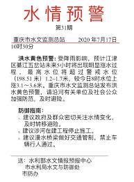 Include (or exclude) self posts. é‡åº†å'å¸ƒæ´ªæ°´é»„è‰²é¢„è­¦