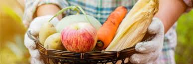 La Duree De Conservation Des Aliments Un Casse Tete Chinois En 2020 Conservation Des Aliments Legumes De Saison Octobre Fruits Et Legumes De Saison
