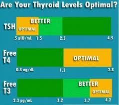 Normal Thyroid Tsh Levels Newborn Chart Logical Thyroid