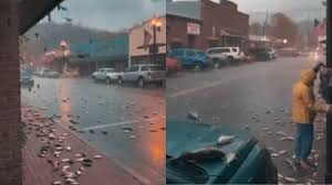 ¿Señal divina? Graban nueva lluvia de peces tras fuerte aguacero, ¿dónde ocurrió?