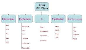 Career Options For A Science Stream Pursuer