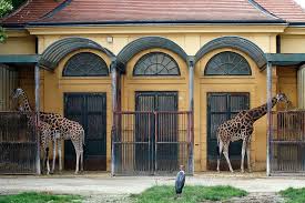 Zoovienna tiergarten schönbrunn ⭐ , austria, wien, schönbrunner schlosspark: Tiergarten Schonbrunn Highlights Und Spartipps Fur Deinen Besuch Waldviertler Wien