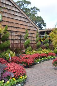 Pin On Fall Garden Refresh